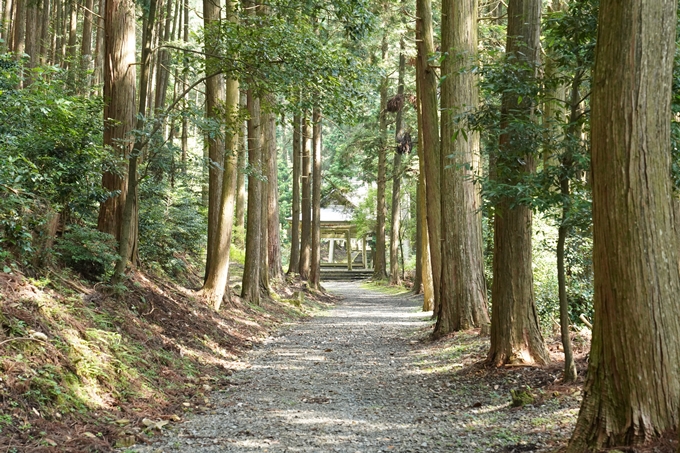 松尾神社_西別院　No10