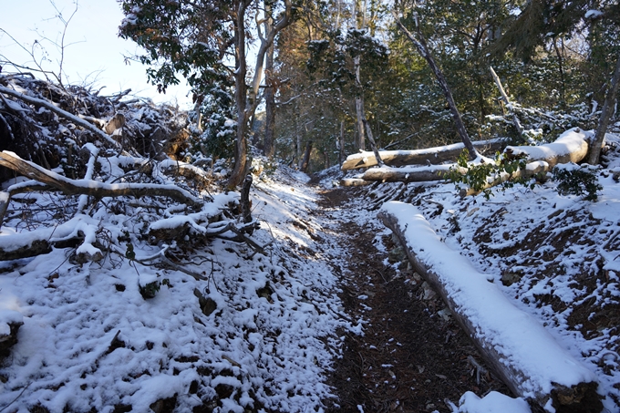 愛宕山_神明峠_積雪_2021　No69