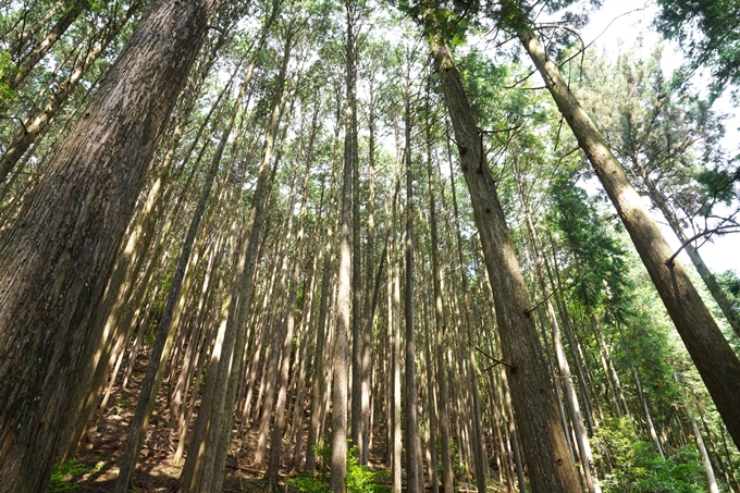 松尾神社_西別院　No12