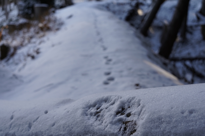 愛宕山_神明峠_積雪_2021　No76