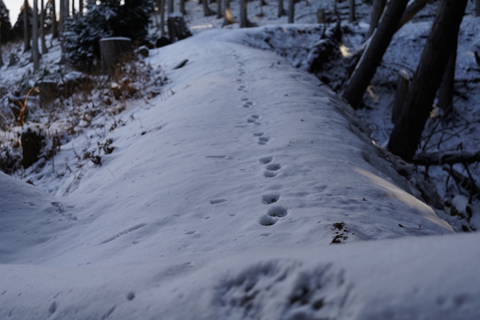 愛宕山_神明峠_積雪_2021　No77