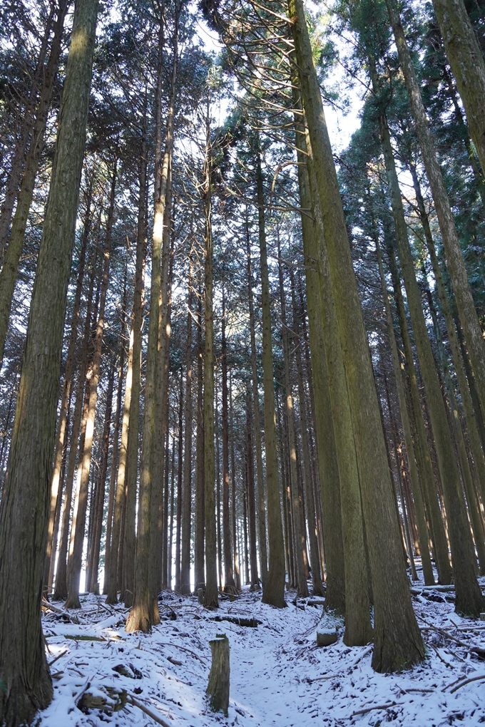 愛宕山_神明峠_積雪_2021　No78