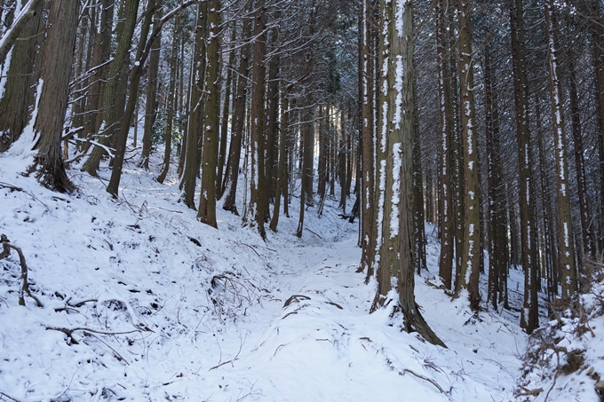 愛宕山_神明峠_積雪_2021　No80