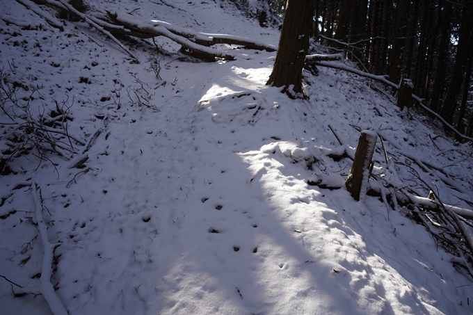 愛宕山_神明峠_積雪_2021　No81