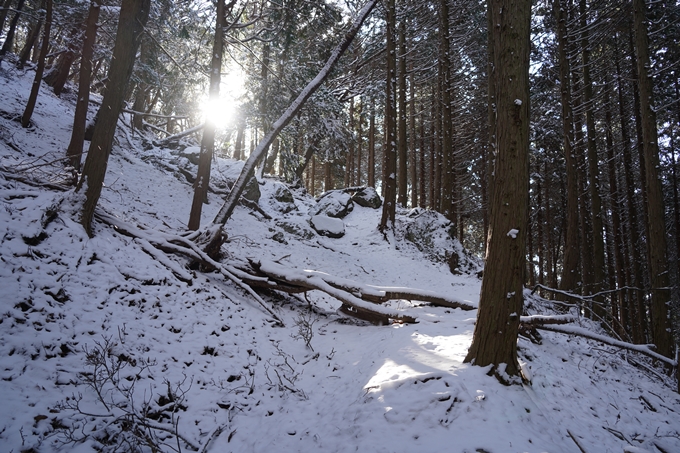 愛宕山_神明峠_積雪_2021　No82