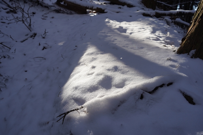 愛宕山_神明峠_積雪_2021　No83