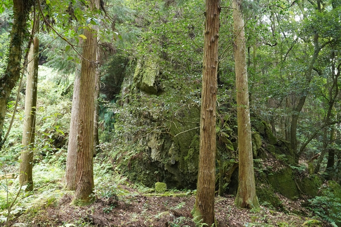 松尾神社_西別院　No40