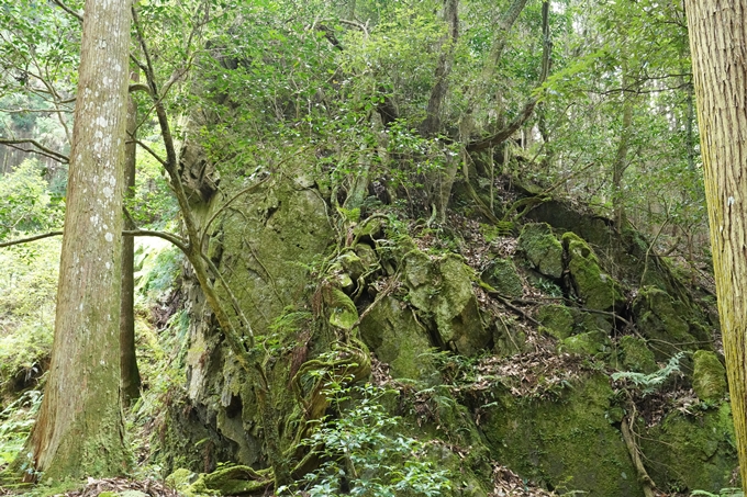 松尾神社_西別院　No41