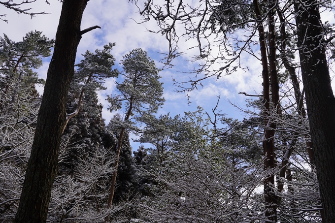 愛宕山_神明峠_積雪_2021　No86