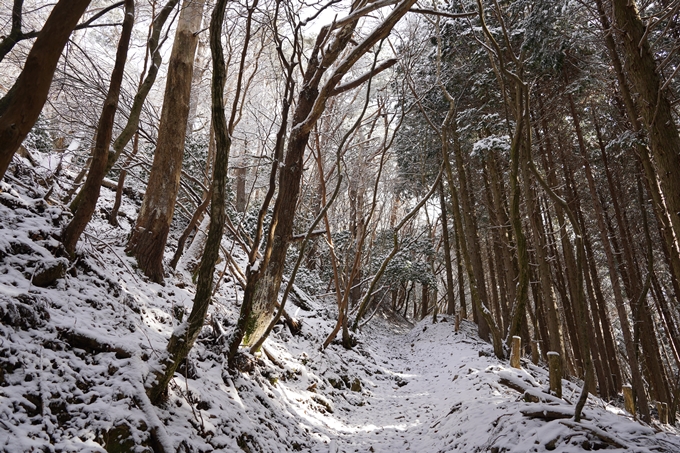 愛宕山_神明峠_積雪_2021　No87