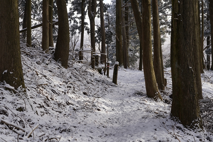 愛宕山_神明峠_積雪_2021　No88