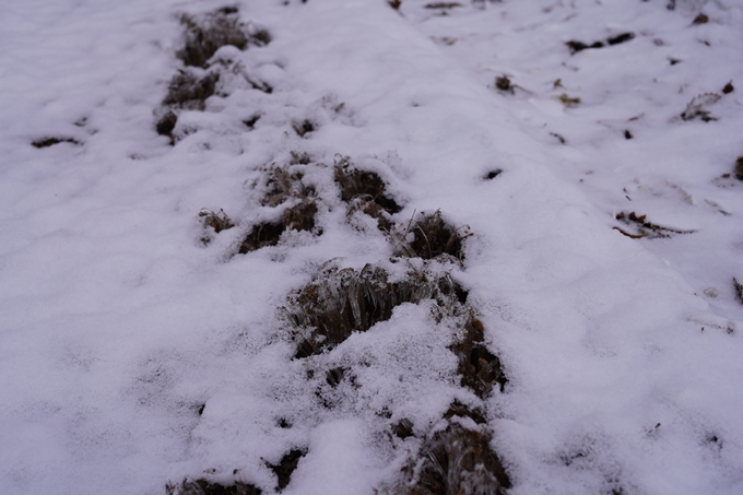 愛宕山_神明峠_積雪_2021　No91