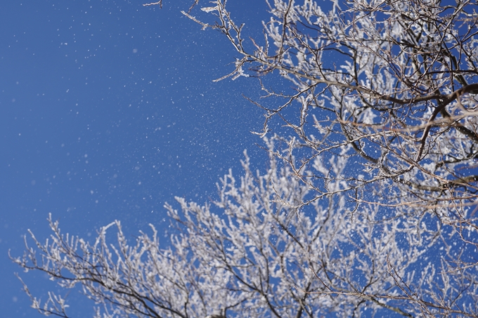 愛宕山_神明峠_積雪_2021　No98