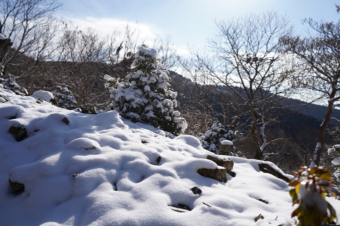 愛宕山_神明峠_積雪_2021　No99