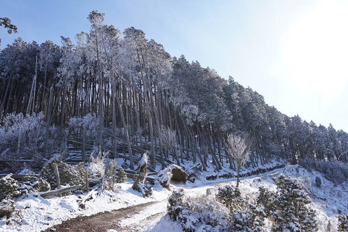 愛宕山_神明峠_積雪_2021　No108