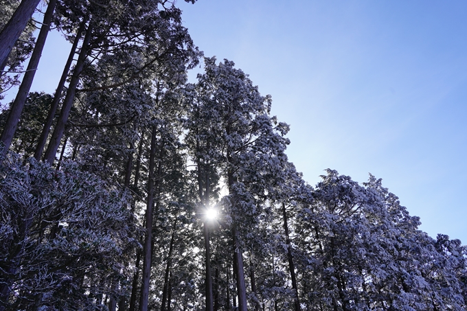 愛宕山_神明峠_積雪_2021　No117