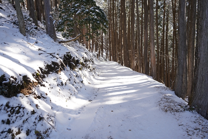 愛宕山_神明峠_積雪_2021　No118