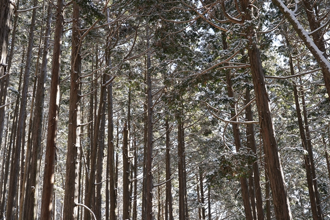 愛宕山_神明峠_積雪_2021　No119