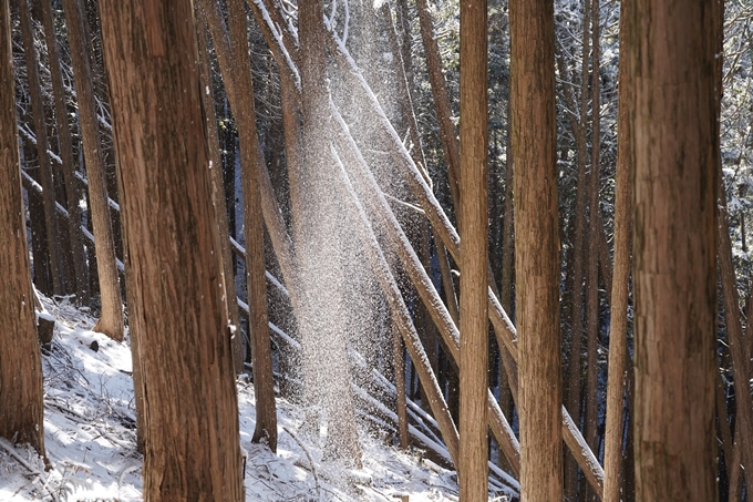 愛宕山_神明峠_積雪_2021　No120