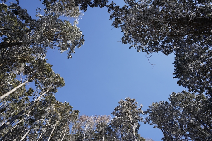 愛宕山_神明峠_積雪_2021　No121