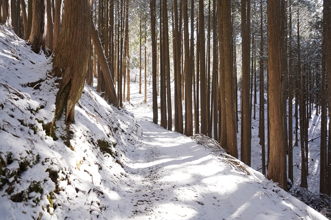 愛宕山_神明峠_積雪_2021　No122