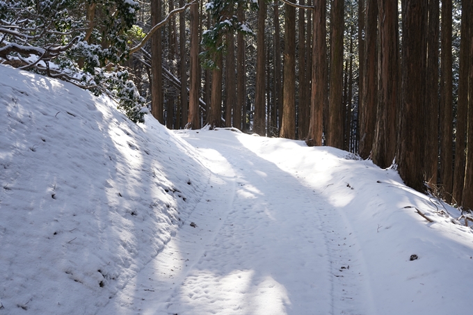 愛宕山_神明峠_積雪_2021　No124