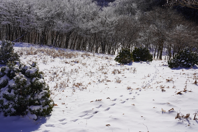 愛宕山_神明峠_積雪_2021　No130