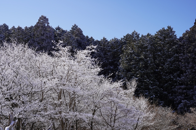 愛宕山_神明峠_積雪_2021　No131