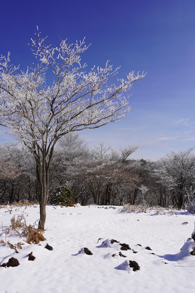 愛宕山_神明峠_積雪_2021　No132