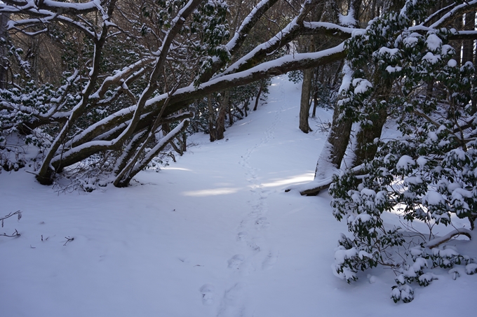 愛宕山_神明峠_積雪_2021　No139