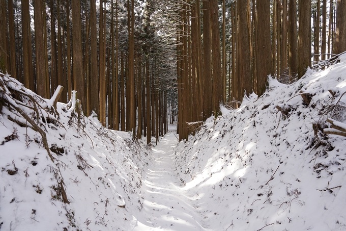 愛宕山_神明峠_積雪_2021　No146