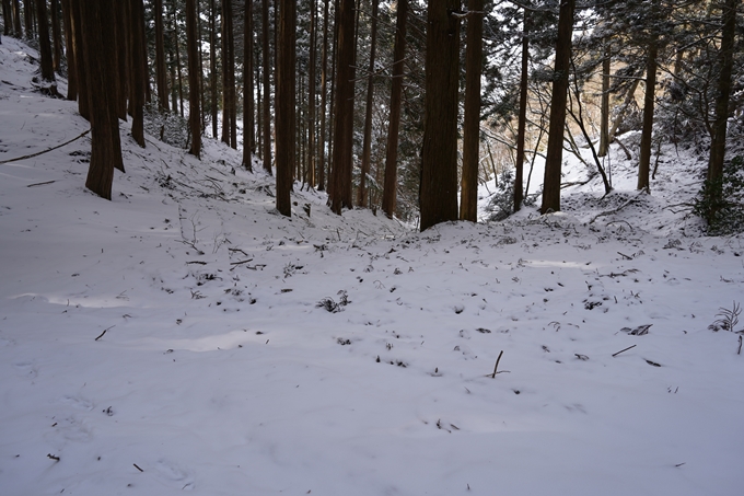 愛宕山_神明峠_積雪_2021　No147