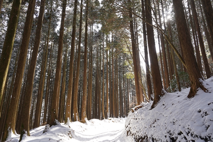 愛宕山_神明峠_積雪_2021　No148