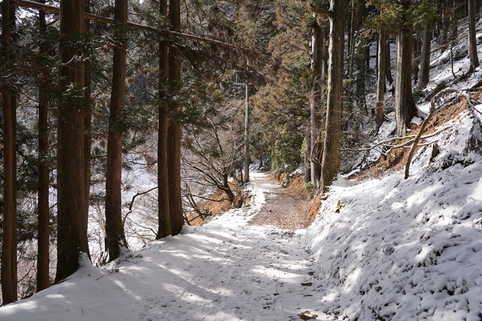 愛宕山_神明峠_積雪_2021　No150