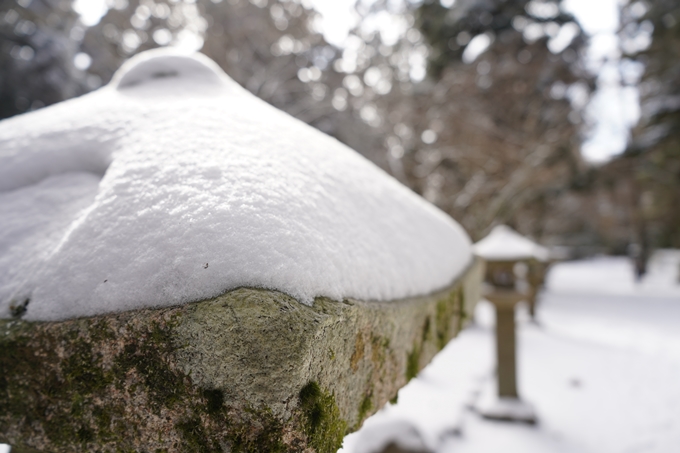 愛宕山_神明峠_積雪_2021　No155