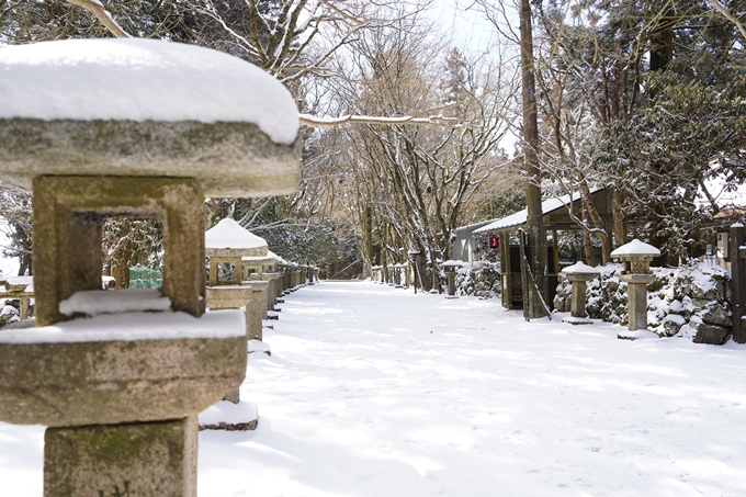 愛宕山_神明峠_積雪_2021　No160