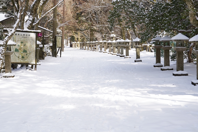 愛宕山_神明峠_積雪_2021　No161