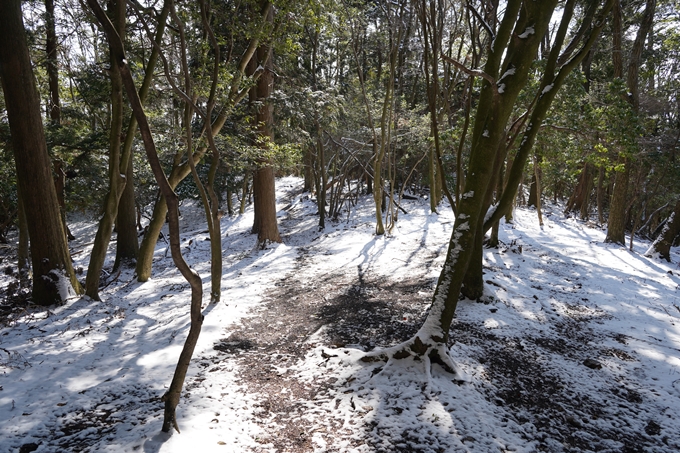 愛宕山_神明峠_積雪_2021　No170