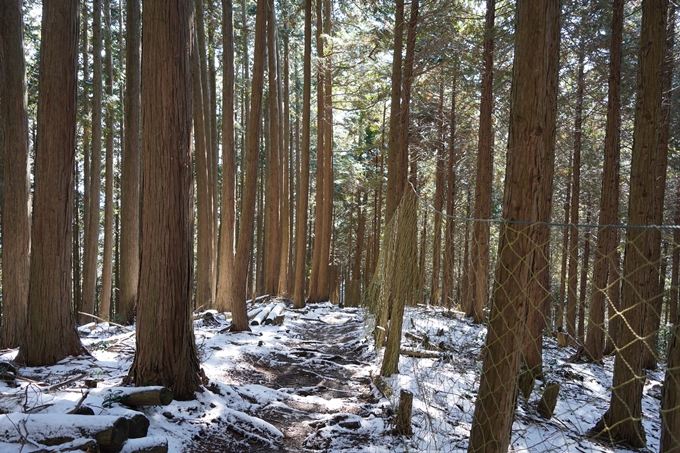 愛宕山_神明峠_積雪_2021　No171