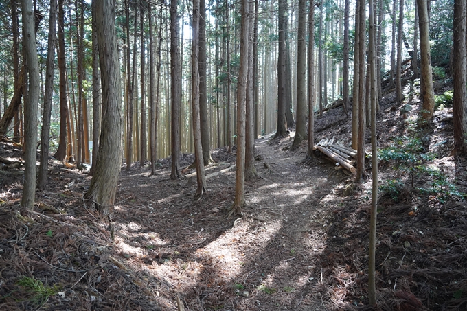 愛宕山_神明峠_積雪_2021　No174