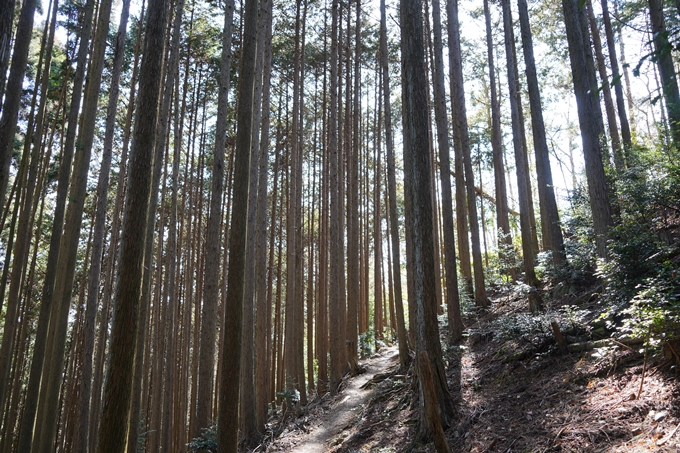 愛宕山_神明峠_積雪_2021　No176