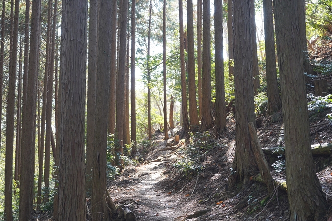 愛宕山_神明峠_積雪_2021　No177