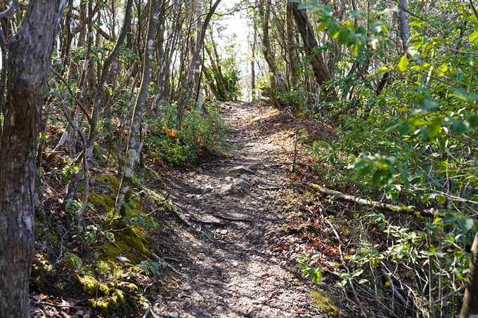 愛宕山_神明峠_積雪_2021　No180