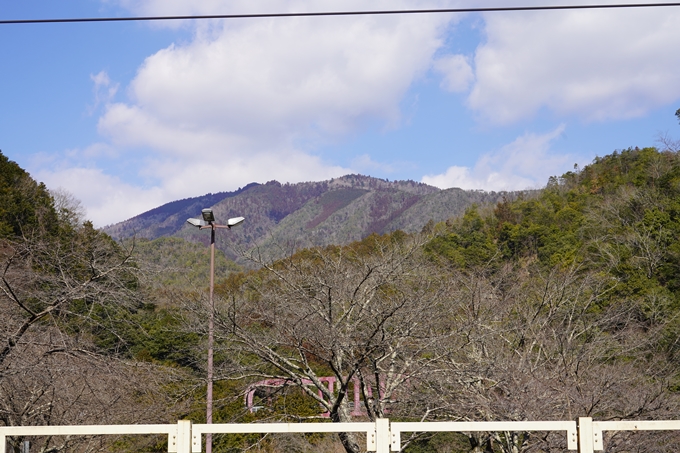 愛宕山_神明峠_積雪_2021　No193