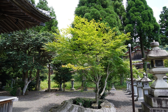 伊夫岐神社　No28