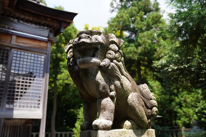 伊夫岐神社　No18