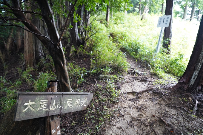 京都一周トレイル_北山編_2021　No34