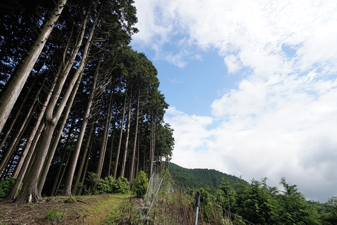 京都一周トレイル_北山編_2021　No40