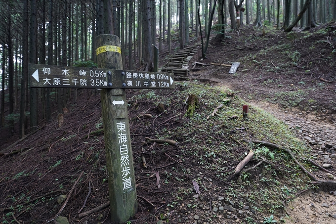 京都一周トレイル_北山編_2021　No44