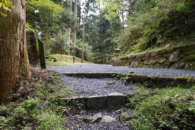 京都一周トレイル_北山編_2021　No99